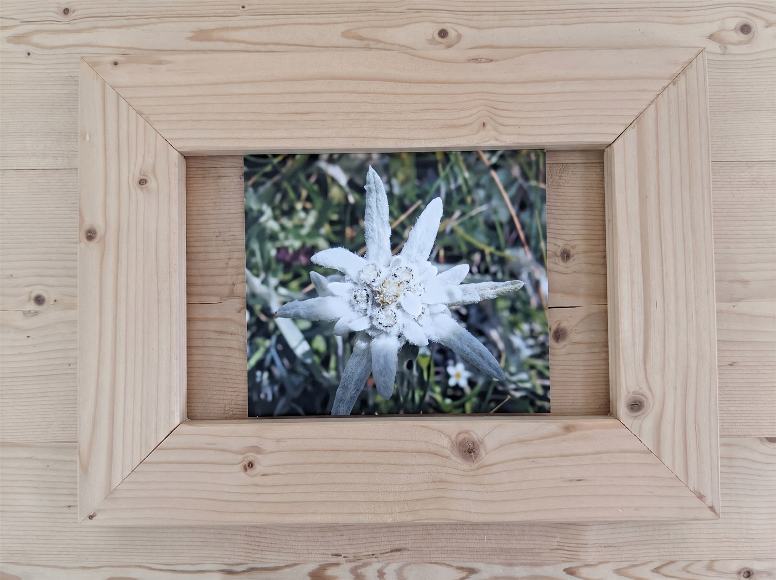 Tableau edelweiss dans l'appartement